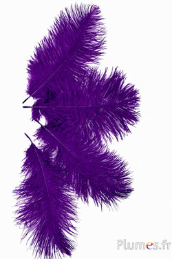 Strauss - 13-18 cm - aubergine